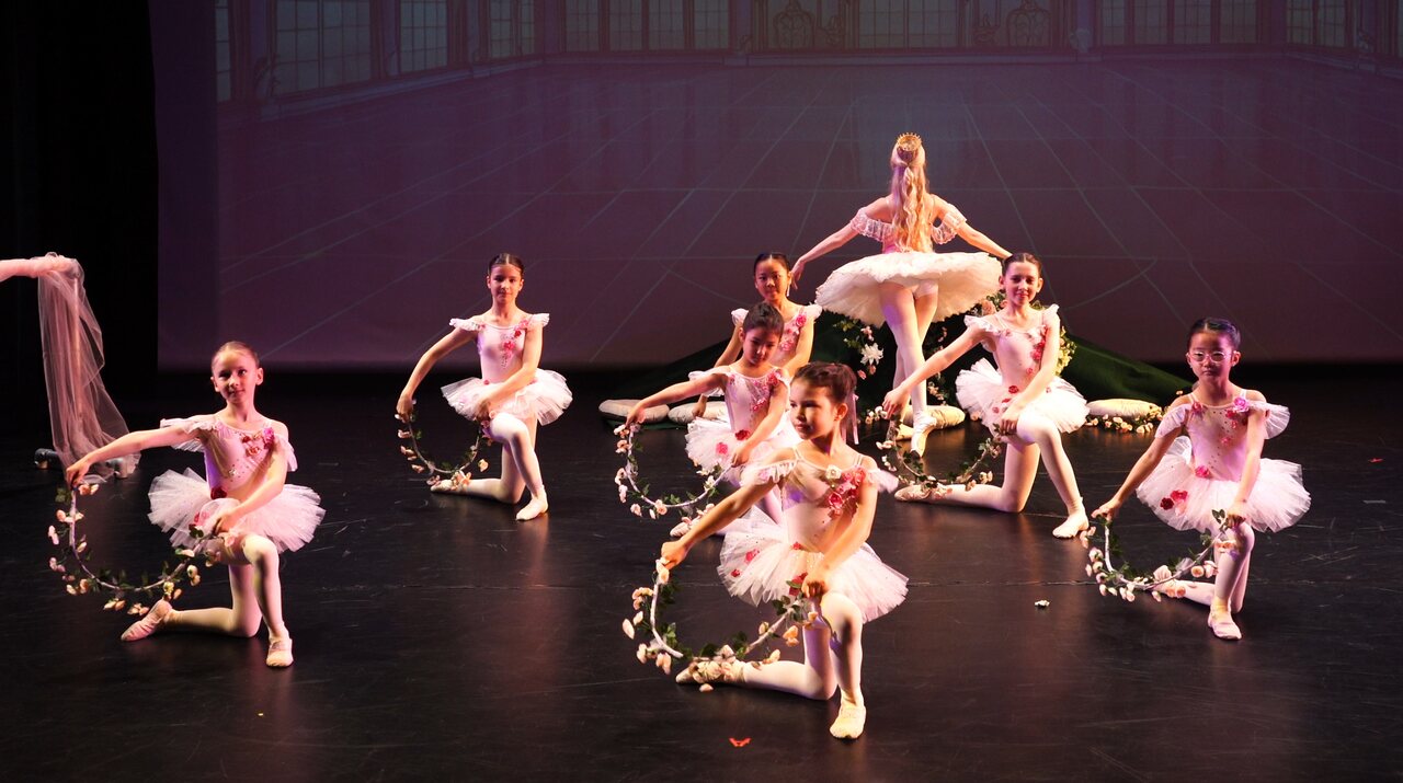 T&Y Ballet Studio 演出与活动