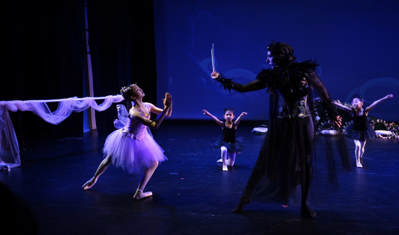 T&Y Ballet Studio 演出与活动