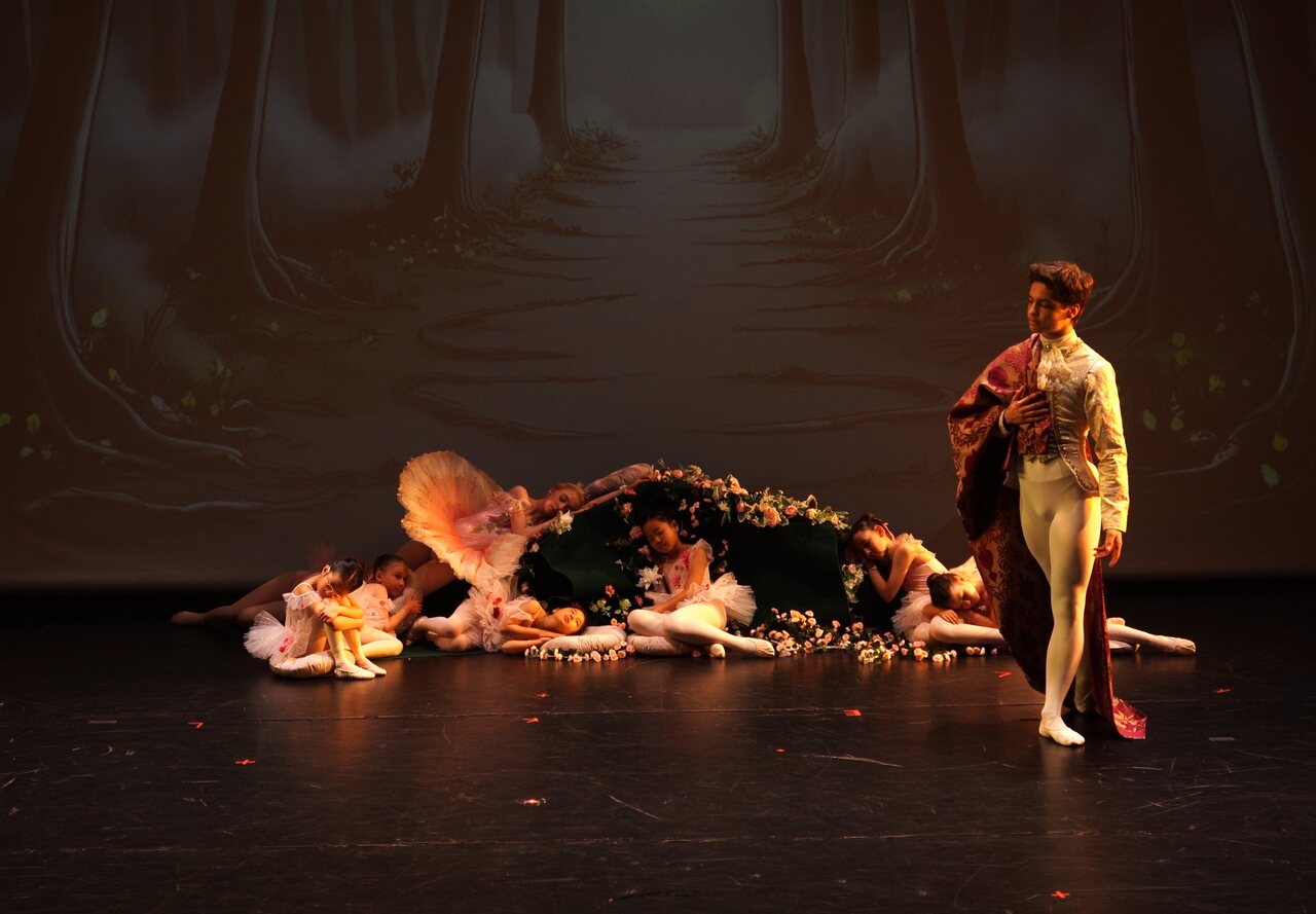 T&Y Ballet Studio 演出与活动