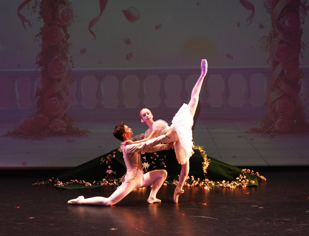 T&Y Ballet Studio 演出与活动